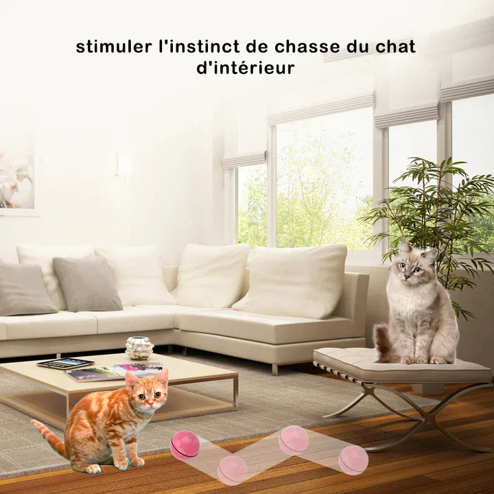 ChasseBalle™-Meilleur jouet pour ton chat, l'aider à exercer son instinct de chasseur