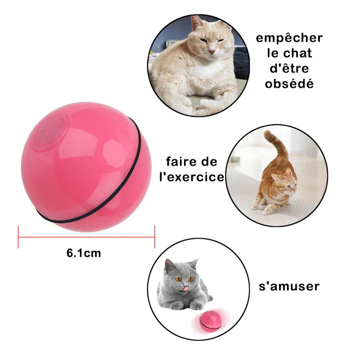 ChasseBalle™-Meilleur jouet pour ton chat, l'aider à exercer son instinct de chasseur