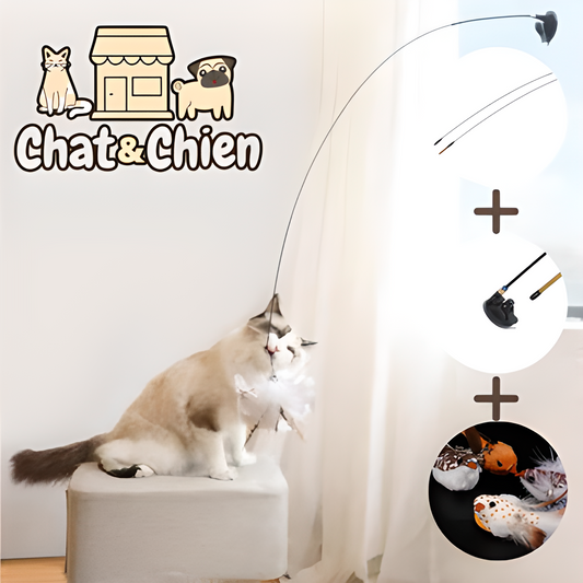 Sautechaton™-Jeu interactif de simulation d'oiseaux pour chat - ChateChien™